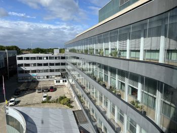 Tropische planten voor klimaatbeheersing