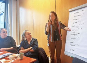 Sessieleider presenteert aan de groep 