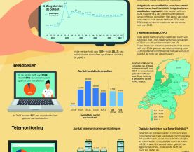 Factsheet hybride zorg feb 2025